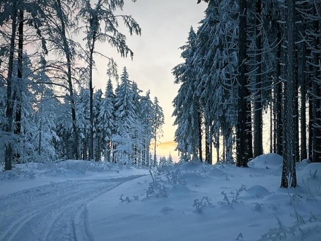 Rennsteighotel Gruener Baum Шмидефельд-ам-Ренштайг Экстерьер фото