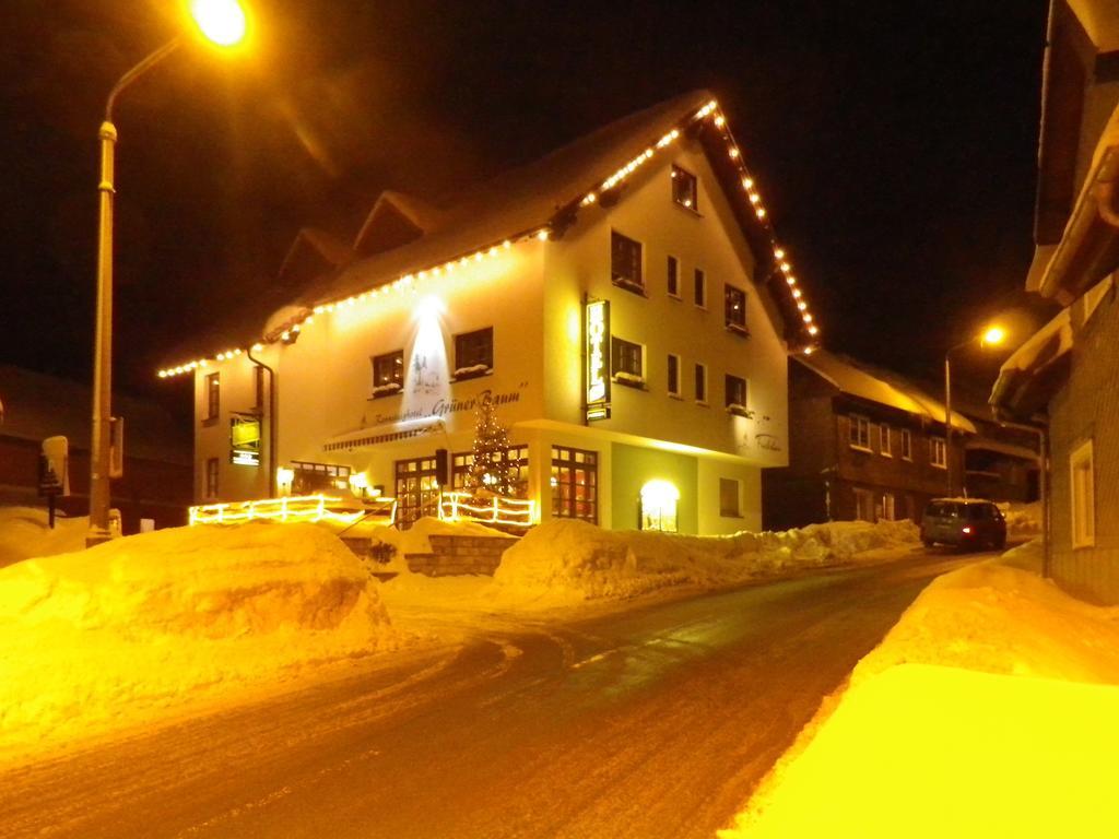 Rennsteighotel Gruener Baum Шмидефельд-ам-Ренштайг Экстерьер фото